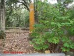 Judd Cemetery